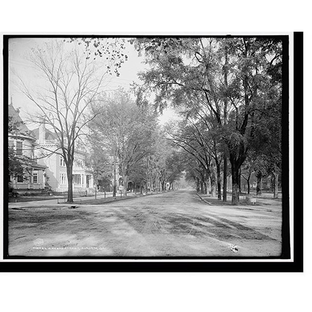 Historic Print, Greene Street, Augusta, Ga., 16" x 20"