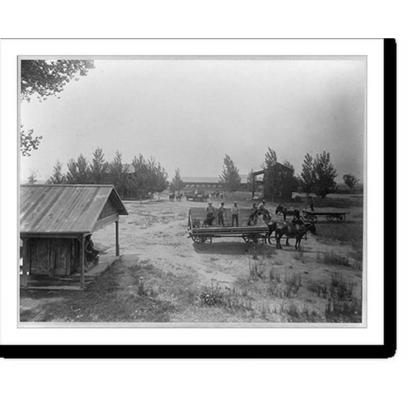 Historic Print, Greenfields Ranch - Camp Thirty-Six, Kern County, Calif., 18" x 24"