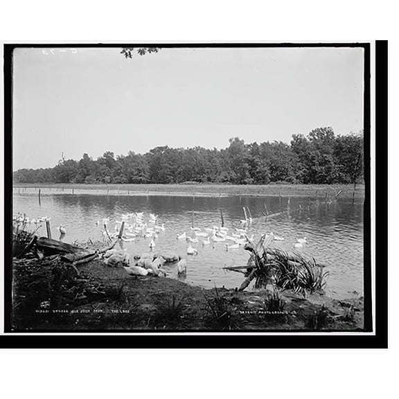 Historic Print, Grosse Isle duck farm, the lake, 18" x 24"