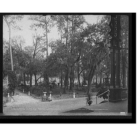 Historic Print, Grounds at the Pine Forest Inn, Summerville, S.C., 18" x 24"