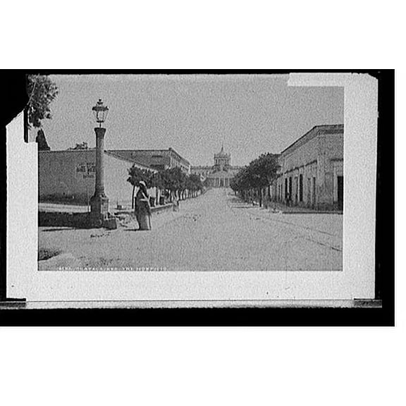 Historic Print, Guadalajara, the hospicio [Hospital de Belen], 16" x 20"