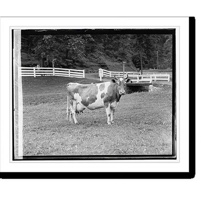 Historic Print, H. C. Rogers, Hamilton, VA 5, 16" x 20"