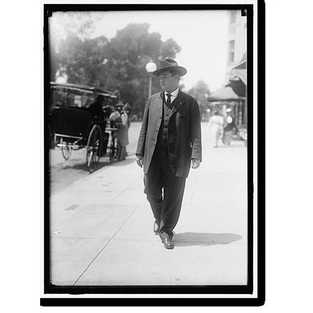 Historic Print, HAYWOOD, WILLIAM. 'BIG BILL,' LABOR AGITATOR, 16" x 20