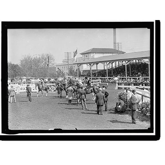 Historic Print, HORSE SHOWS. GENERAL VIEW, WASHINGTON HORSE SHOW, 16" x 20"