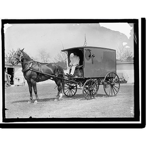 Historic Print, HORSE SHOWS. HORSE AND WAGON, 16" x 20"