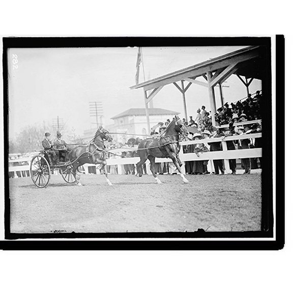 Historic Print, HORSE SHOWS. JOHN ROLL McLEAN ENTRIES, 16" x 20"