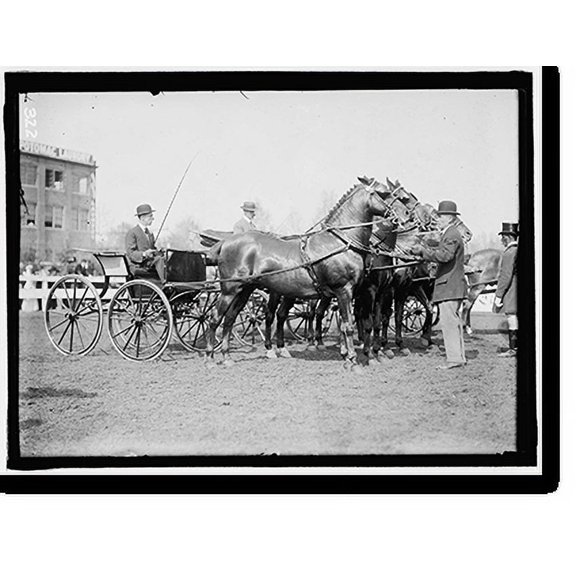 Historic Print, HORSE SHOWS. JUDGING TEAM, 16" x 20"