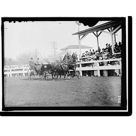 Historic Print, HORSE SHOWS. McLEAN ENTRIES, 16" x 20"