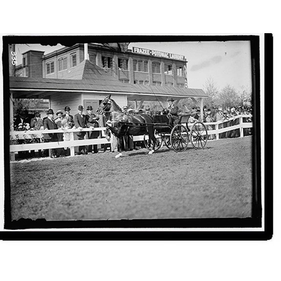 Historic Print, HORSE SHOWS. UNIDENTIFIED MAN DRIVING. GEN. ALLEN AND SECRETARY DICKINSON STANDING BACK OF FENCE NEAR HEAD OF HORSE, 16" x 20"