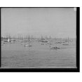 Historic Print, [Harbor and N.Y.Y.C. (New York Yacht Club) fleet