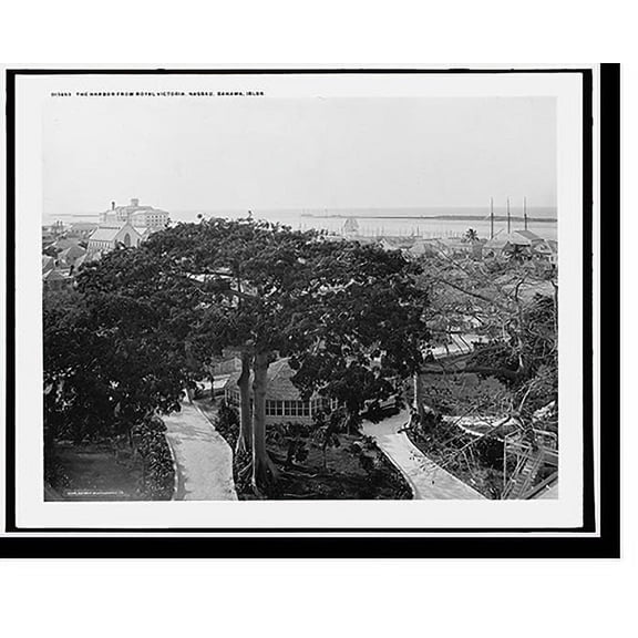 Historic Print, Harbor from Royal Victoria [Hotel], Nassau, Bahama Islds., 16" x 20"