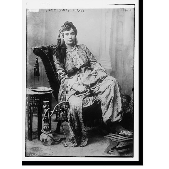 Historic Print, Harem Beauty, Turkey, 18" x 24"