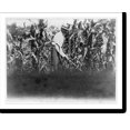 thumbnail image 1 of Historic Print, [Harvey W. Wiley family, Sioux City, Iowa]: Father hoeing corn, 16" x 20", 1 of 3