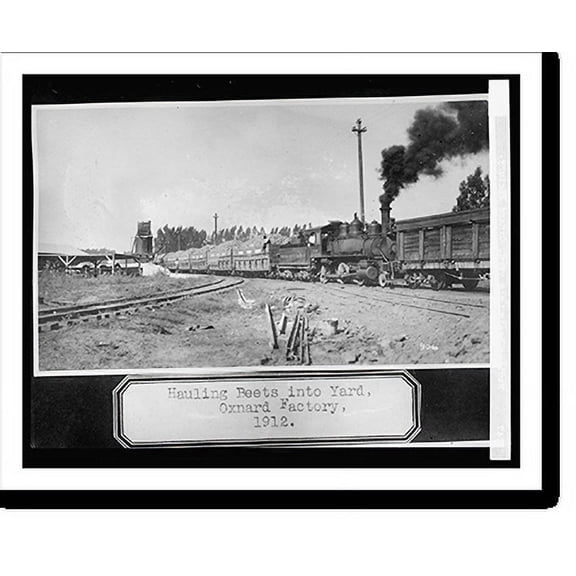 Historic Print, Hauling beets into yard, Oxnard, [California], factory, 16" x 20"