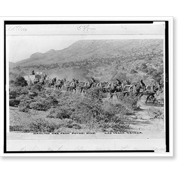 Historic Print, Hauling ore from Potosi mine, Las Vegas, Nevada, 16" x