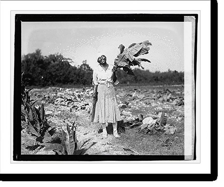 Historic Print, Herald tour, Point Comfort 2, 16" x 20"