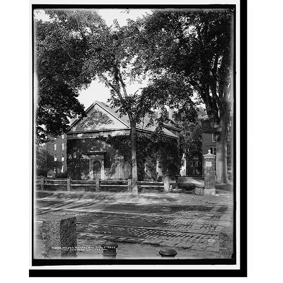 Historic Print, Holden Chapel and class tree, Harvard College, 18" x 24"