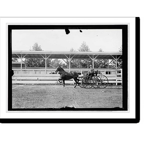 Historic Print, Horse show, July 1912 - 5, 16" x 20"