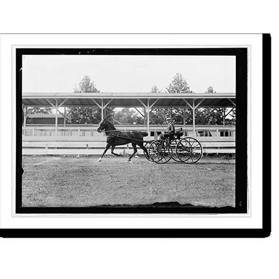 Historic Print, Horse show, July 1912 - 6, 16" x 20"