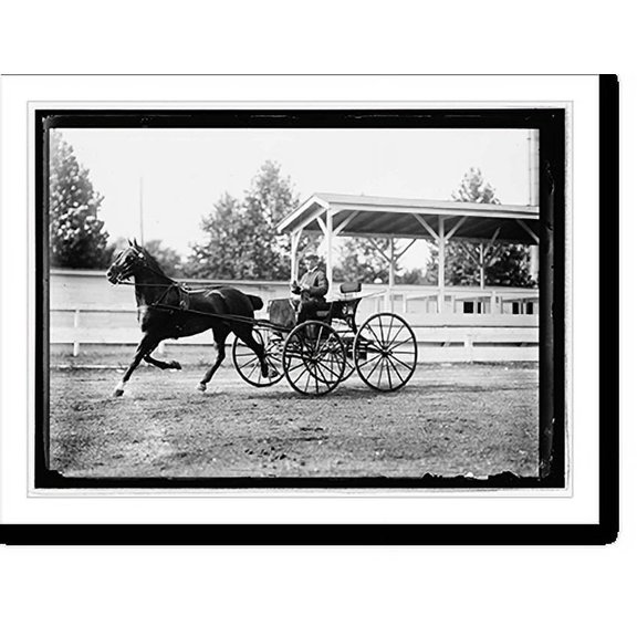 Historic Print, Horse show, July 1912 - 7, 16" x 20"