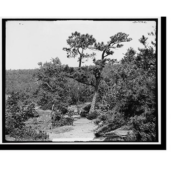 Historic Print, Hotel Kaaterskill from Boulder Rock, Catskill Mountains, N.Y., 18" x 24"