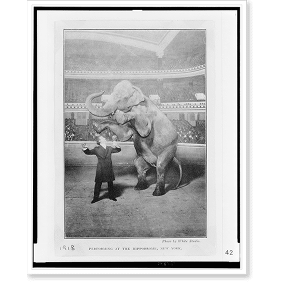 Historic Print, [Houdini and Jennie, the elephant, performing at the Hippodrome, New York], 18" x 24"