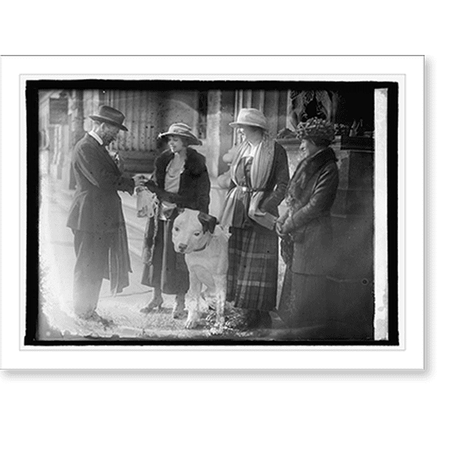 Historic Print, House of Mercy Drive, 11/20/20, 16" x 20"