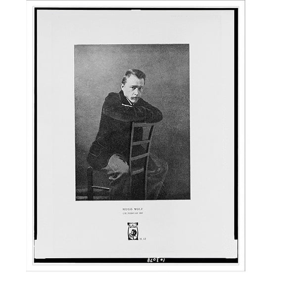 Historic Print, Hugo Wolf, 16" x 20"