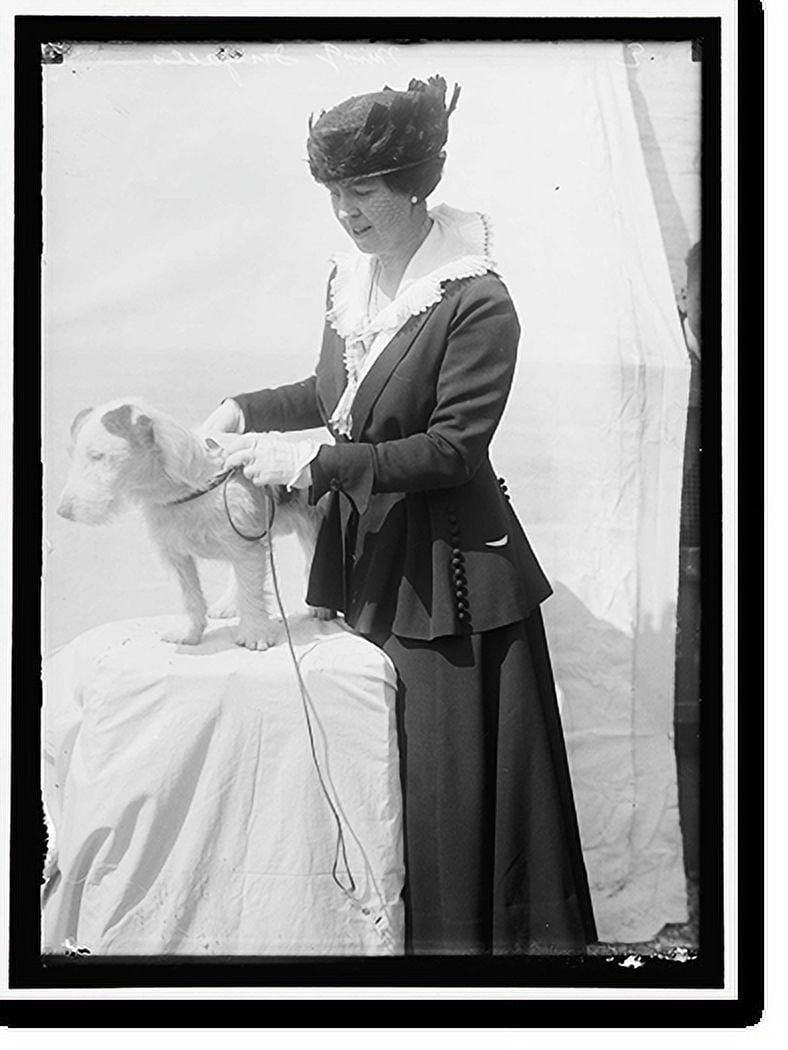 Historic Print, INGALLS, GLADYS. MRS. ARNOLD ROBERTSON. DOG SHOW 2