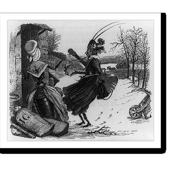 Historic Print, [Illus. of fable The ant and the grasshopper, showing two insects dressed as women, one holding a guitar], 18" x 24"