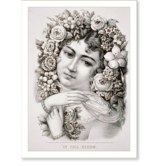 Historic Print, In full bloom, 16" x 20"