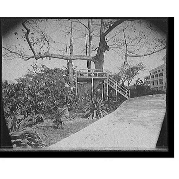 Historic Print, [In grounds of the Royal Victoria [Hotel], Nassau, Bahama Islands], 18" x 24"