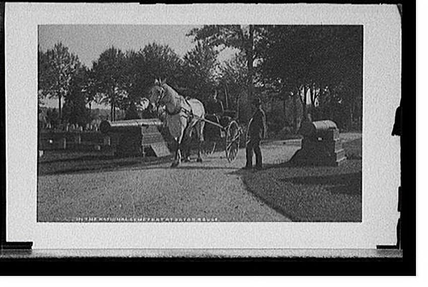 Historic Print, In the National Cemetery at Baton Rouge., 16" x 20