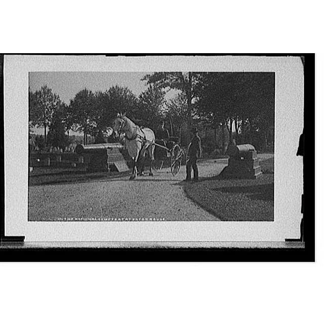 Historic Print, In the National Cemetery at Baton Rouge., 16" x 20