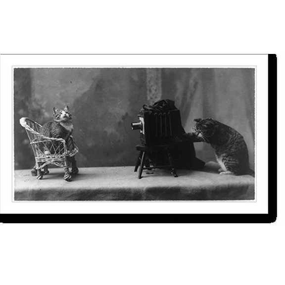 Historic Print, In the Rogue's Gallery, 18" x 24"