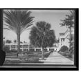 thumbnail image 1 of Historic Print, [In the gardens, Colonial Hotel, Nassau, Bahama Islands], 16" x 20", 1 of 3