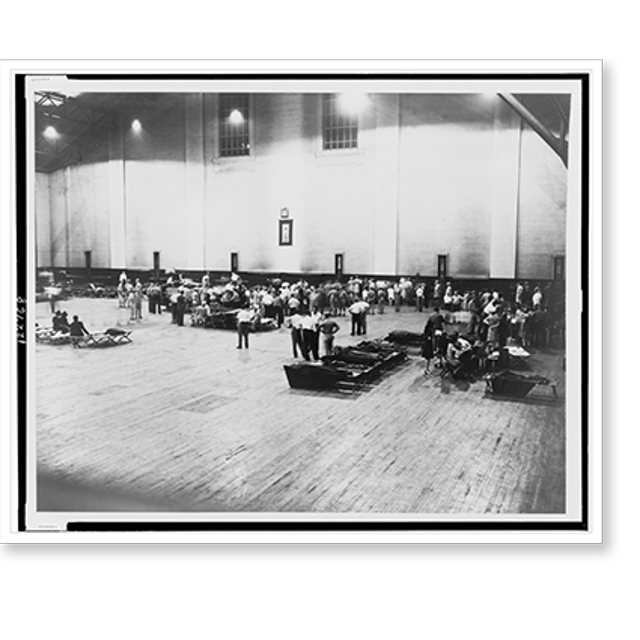 Historic Print, Indentifying Circus Dead, 16" x 20"