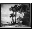 thumbnail image 1 of Historic Print, Indian River at Cocoa, Fla., 18" x 24", 1 of 3