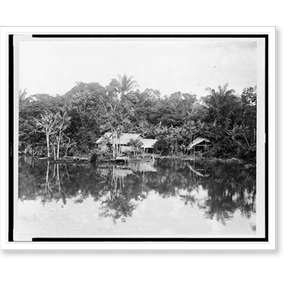Historic Print, [Indian hut in clearing on river bank, Brazil], 16" x 20"
