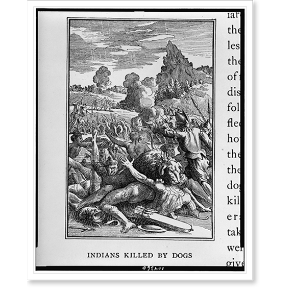 Historic Print, Indians killed by dogs, 18" x 24"