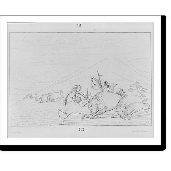 Historic Print, [Indians killing buffaloes], 18" x 24"