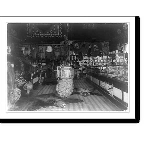 Historic Print, Interior of H.E. Klamer's curio store, Yellowstone Pk., Wyo., 18" x 24"