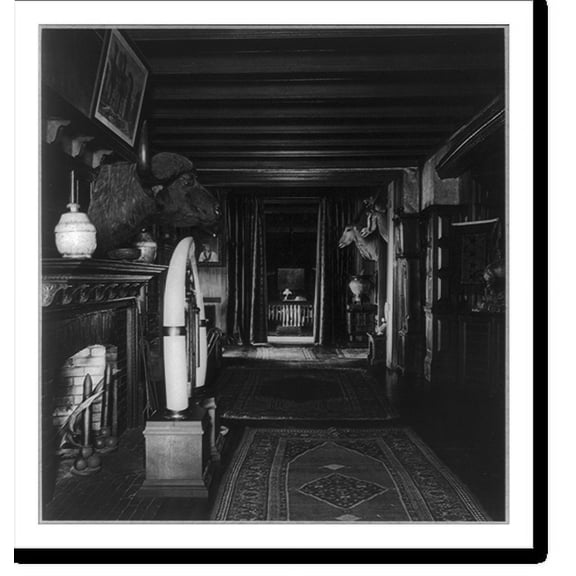Historic Print, [Interior of Sagamore Hill with fireplace, water buffalo head and two antelope heads], 18" x 24"