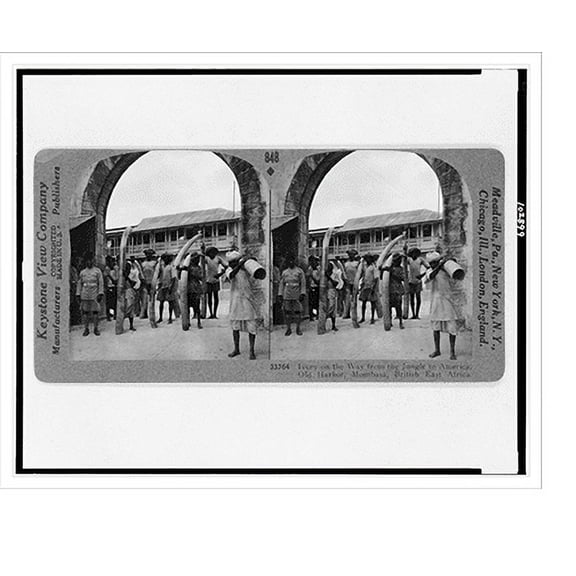 Historic Print, Ivory on the way from the jungle to America, Old Harbor, Mombasa, British East Africa, 16" x 20"
