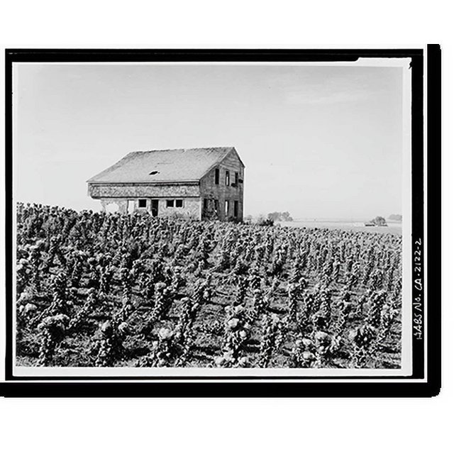 Historic Print, James Johnston House, Higgins Road, Half Moon Bay, San