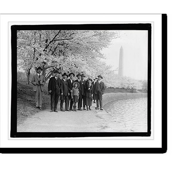 Historic Print, Jap. Cherry trees, 16" x 20"