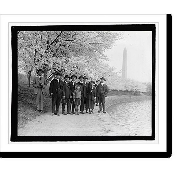 Historic Print, Jap. Cherry trees, 18" x 24"