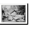 thumbnail image 1 of Historic Print, Java . shipping Plumbago, 16" x 20", 1 of 3