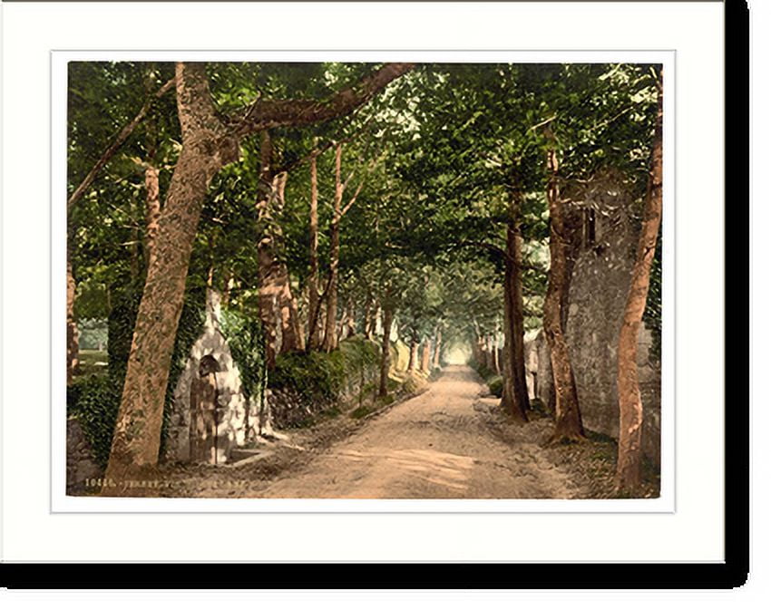 Historic Print, Jersey Vinchelez Lane Channel Islands England, 16" x 20