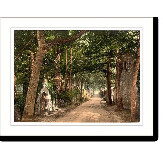 Historic Print, Jersey Vinchelez Lane Channel Islands England, 16" x 20